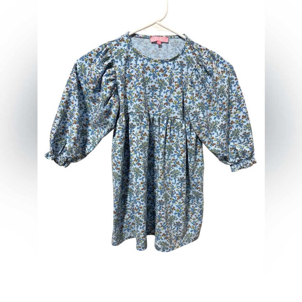 BISBY Kids Blue Floral Puff Sleeve‎ Empire Waist Dress Size 4